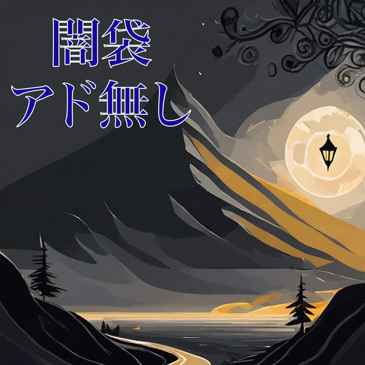 お一人様1つ アド無しの闇袋 2
